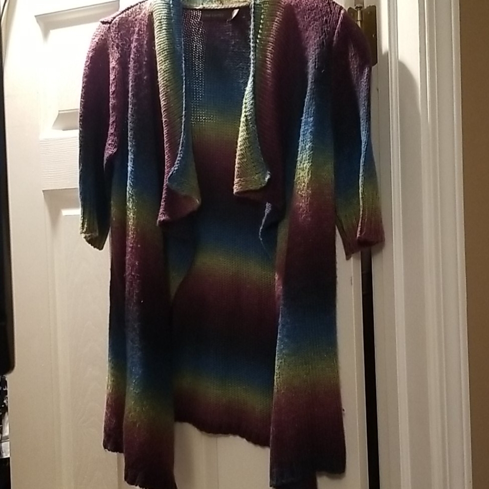 The Limited Colorful sweater